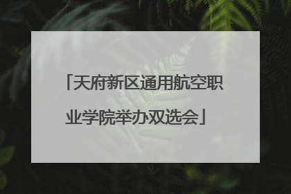 天府新区通用航空职业学院举办双选会