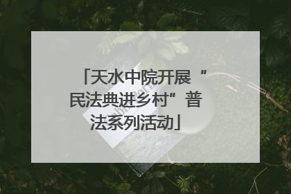 天水中院开展“民法典进乡村”普法系列活动
