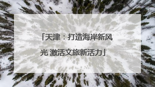 天津：打造海岸新风光 激活文旅新活力