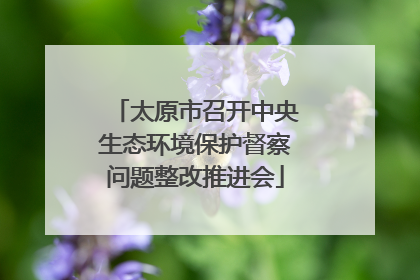 太原市召开中央生态环境保护督察问题整改推进会