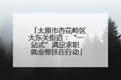 太原市杏花岭区大东关街道：“一站式”满足求职 就业帮扶在行动