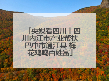 央媒看四川丨四川内江市产业帮扶巴中市通江县 梅花鸡鸣百姓富