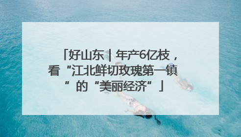 好山东｜年产6亿枝，看“江北鲜切玫瑰第一镇”的“美丽经济”
