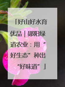 好山好水育优品｜郧阳绿道农业：用“好生态”种出“好味道”