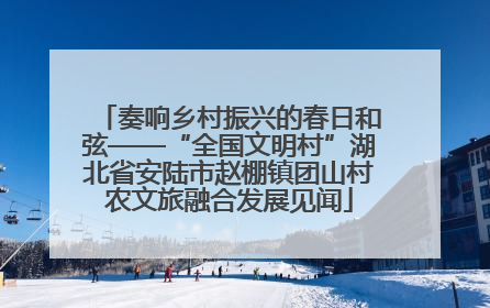 奏响乡村振兴的春日和弦——“全国文明村”湖北省安陆市赵棚镇团山村农文旅融合发展见闻
