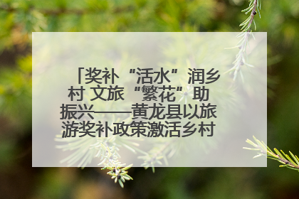 奖补“活水”润乡村 文旅“繁花”助振兴——黄龙县以旅游奖补政策激活乡村振兴新动能