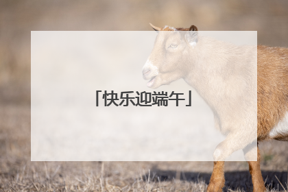 快乐迎端午