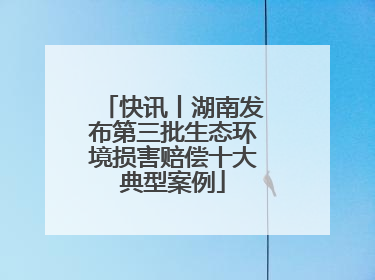 快讯丨湖南发布第三批生态环境损害赔偿十大典型案例