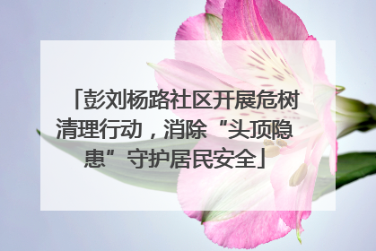 彭刘杨路社区开展危树清理行动，消除“头顶隐患”守护居民安全