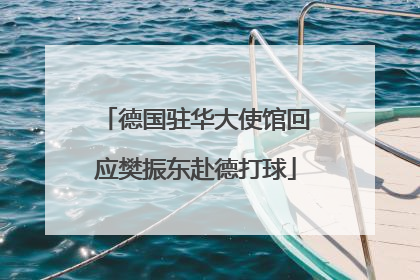 德国驻华大使馆回应樊振东赴德打球
