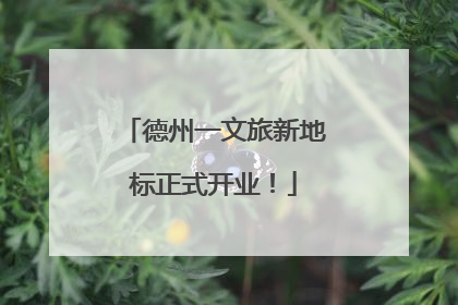 德州一文旅新地标正式开业！