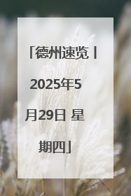 德州速览丨2025年5月29日 星期四