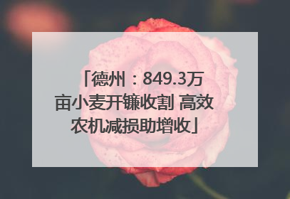 德州：849.3万亩小麦开镰收割 高效农机减损助增收