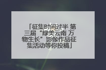 征集时间过半 第三届“绿美云南 万物生长”影像作品征集活动等你投稿