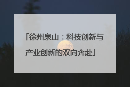 徐州泉山：科技创新与产业创新的双向奔赴