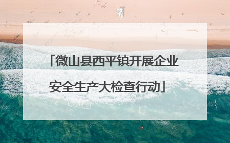 微山县西平镇开展企业安全生产大检查行动