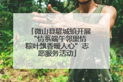 微山县驩城镇开展“情系端午邻里情 粽叶飘香暖人心”志愿服务活动