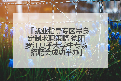 就业指导专区量身定制求职策略 德阳罗江夏季大学生专场招聘会成功举办