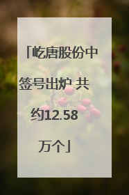 屹唐股份中签号出炉 共约12.58万个