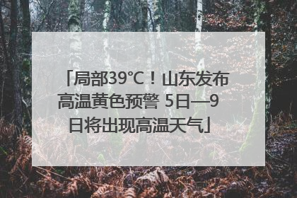 局部39℃！山东发布高温黄色预警 5日—9日将出现高温天气