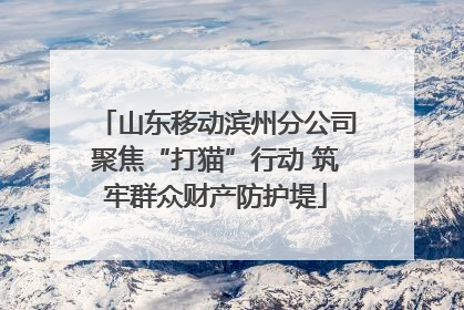 山东移动滨州分公司聚焦“打猫”行动 筑牢群众财产防护堤