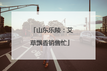 山东乐陵：艾草飘香销售忙