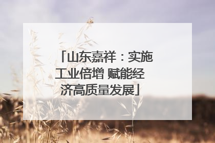 山东嘉祥：实施工业倍增 赋能经济高质量发展