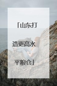 山东打造更高水平粮仓
