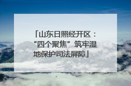 山东日照经开区：“四个聚焦”筑牢湿地保护司法屏障