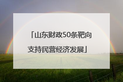 山东财政50条靶向支持民营经济发展
