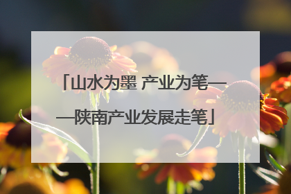 山水为墨 产业为笔——陕南产业发展走笔