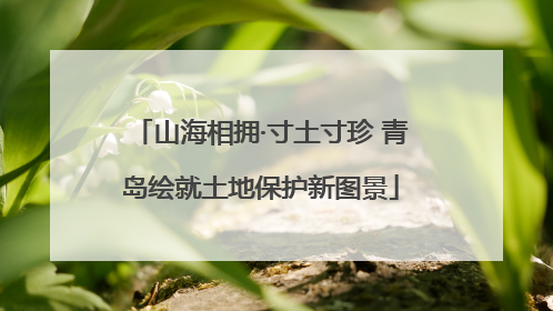 山海相拥·寸土寸珍 青岛绘就土地保护新图景