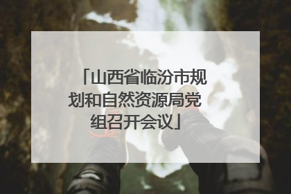 山西省临汾市规划和自然资源局党组召开会议