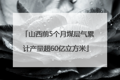 山西前5个月煤层气累计产量超60亿立方米