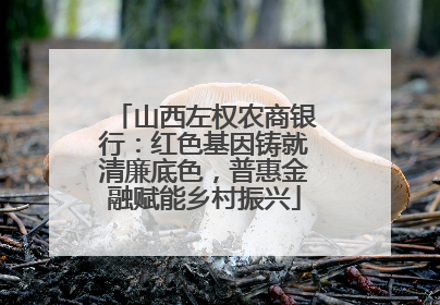 山西左权农商银行：红色基因铸就清廉底色，普惠金融赋能乡村振兴