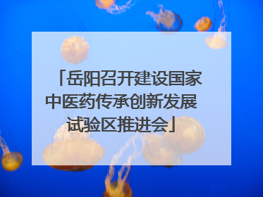 岳阳召开建设国家中医药传承创新发展试验区推进会