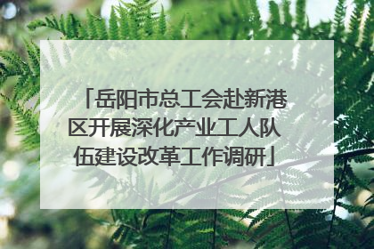 岳阳市总工会赴新港区开展深化产业工人队伍建设改革工作调研