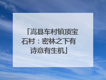 嵩县车村镇顶宝石村：密林之下有诗意有生机