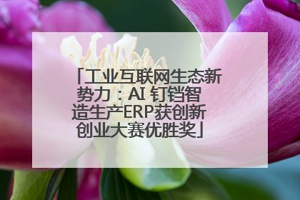工业互联网生态新势力：AI 钉铛智造生产ERP获创新创业大赛优胜奖