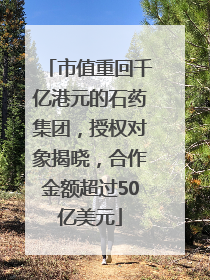 市值重回千亿港元的石药集团，授权对象揭晓，合作金额超过50亿美元