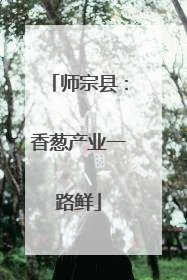 师宗县：香葱产业一路鲜