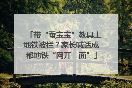 带“蚕宝宝”教具上地铁被拦？家长喊话成都地铁“网开一面”