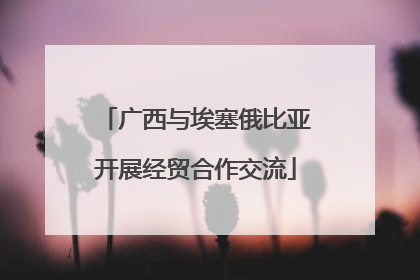 广西与埃塞俄比亚开展经贸合作交流