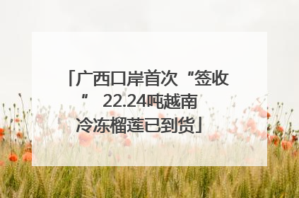 广西口岸首次“签收” 22.24吨越南冷冻榴莲已到货