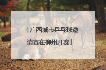 广西城市乒乓球邀请赛在柳州开赛