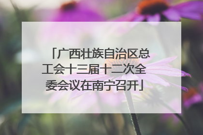 广西壮族自治区总工会十三届十二次全委会议在南宁召开