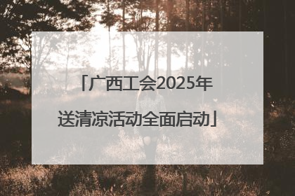 广西工会2025年送清凉活动全面启动