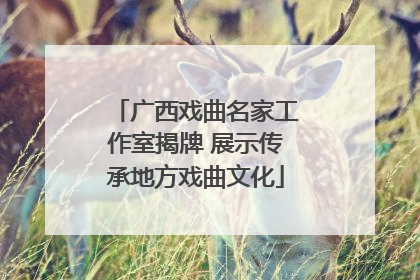 广西戏曲名家工作室揭牌 展示传承地方戏曲文化