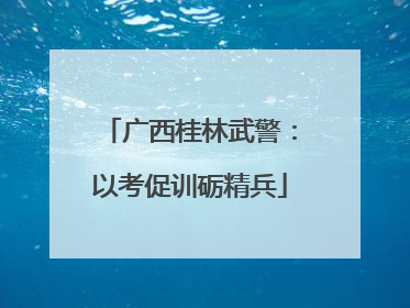 广西桂林武警：以考促训砺精兵