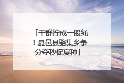 干群拧成一股绳！夏邑县骆集乡争分夺秒促夏种